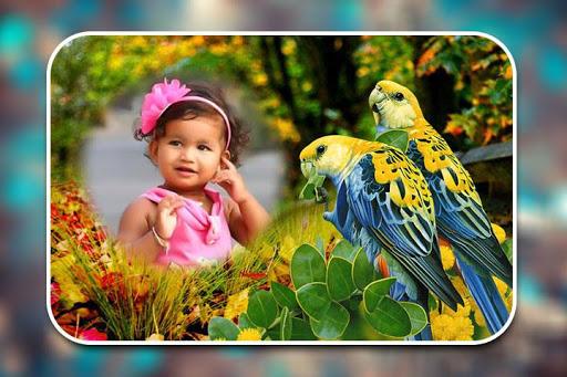 Birds Photo Frames - عکس برنامه موبایلی اندروید