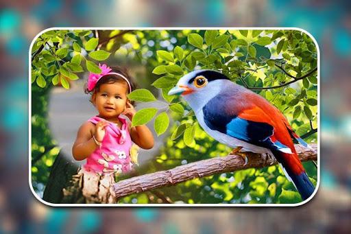 Birds Photo Frames - عکس برنامه موبایلی اندروید