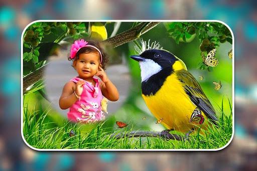 Birds Photo Frames - عکس برنامه موبایلی اندروید