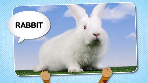 Picture Book For Toddlers - عکس برنامه موبایلی اندروید