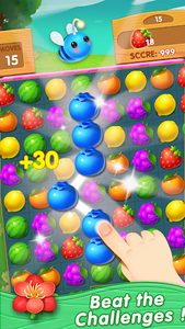 Fruit Fancy - Gameplay image of android game