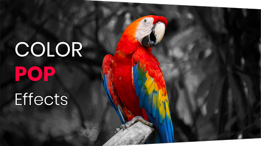 Color Pop Effects Photo Editor - عکس برنامه موبایلی اندروید