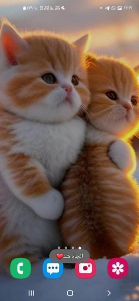 تصویر زمینه کیوتی - Image screenshot of android app