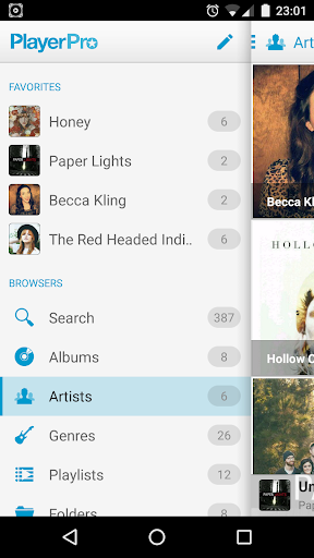 PlayerPro Cloudy Skin - Image screenshot of android app