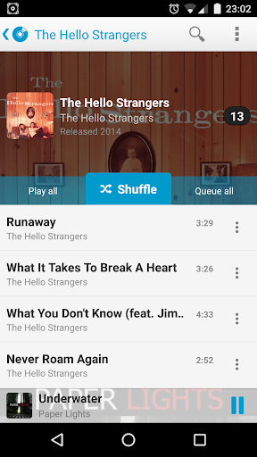 PlayerPro Cloudy Skin - Image screenshot of android app