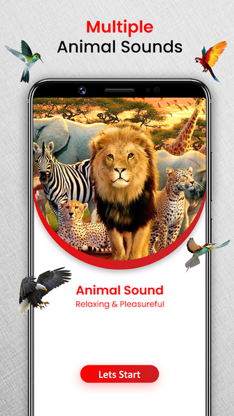 Animal Sounds Birds Ringtones - عکس برنامه موبایلی اندروید