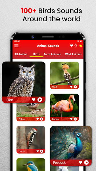 Animal Sounds Birds Ringtones - Image screenshot of android app