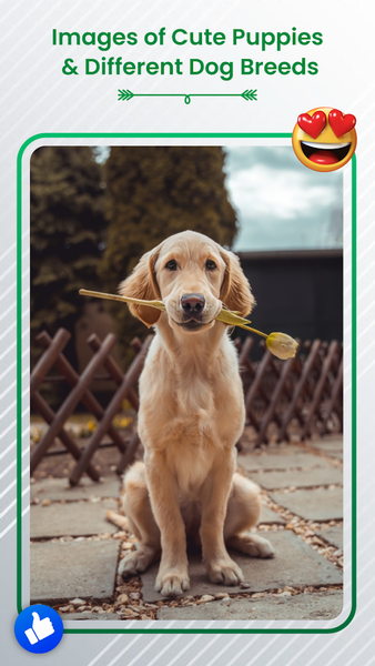 Dog Sound Ringtones Wallpapers - عکس برنامه موبایلی اندروید