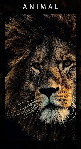 5K Stunning Wallpapers - Image screenshot of android app