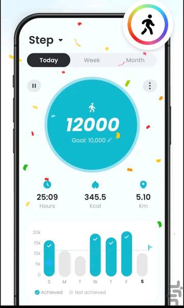 Pedometer - Image screenshot of android app