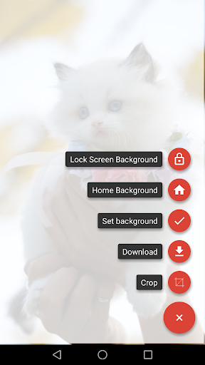 HD Wallpaper 2021 - Image screenshot of android app