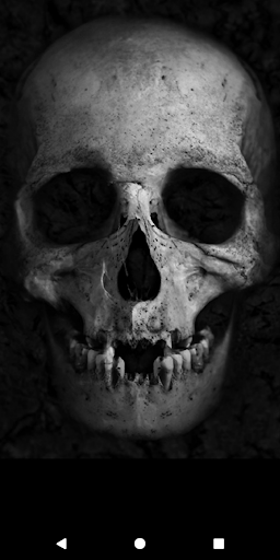 Scary Prank App - Image screenshot of android app