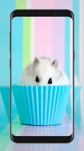 Cute Hamster Wallpapers - Image screenshot of android app