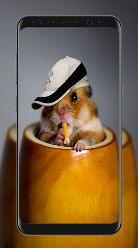 Cute Hamster Wallpapers - Image screenshot of android app