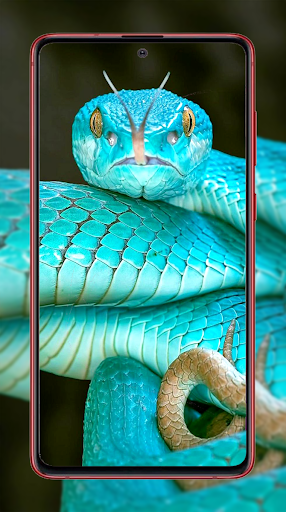 Snake Wallpapers - Image screenshot of android app