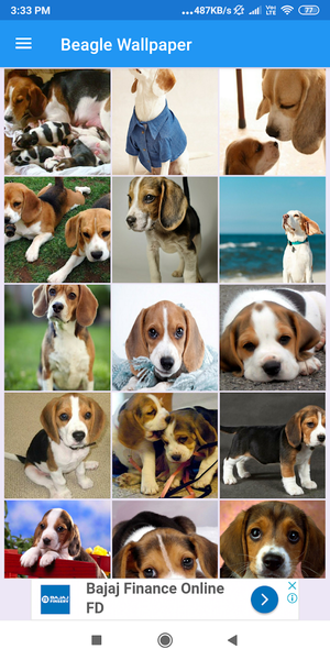 Beagle HD Wallpapers - Image screenshot of android app