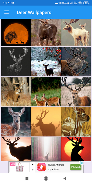 Deer HD Wallpapers - عکس برنامه موبایلی اندروید