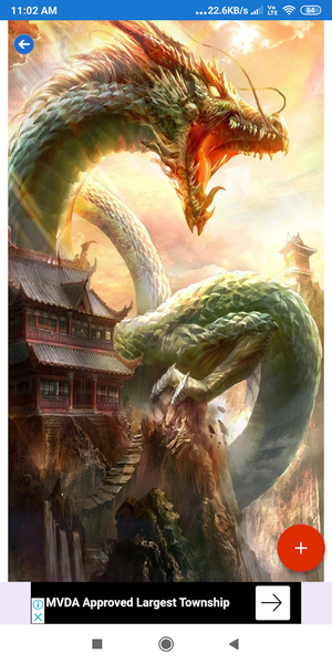 Dragon HD Wallpapers - Image screenshot of android app