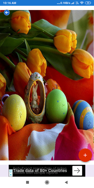 Easter Bunny HD Wallpapers - Image screenshot of android app