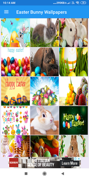 Easter Bunny HD Wallpapers - Image screenshot of android app