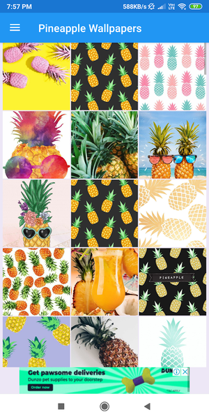 Pineapple HD Wallpapers - Image screenshot of android app