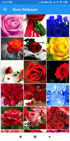 Rose HD Wallpapers - عکس برنامه موبایلی اندروید