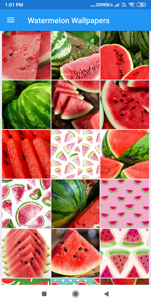 Watermelon HD Wallpapers - Image screenshot of android app