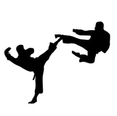 Taekwondo technique - Image screenshot of android app