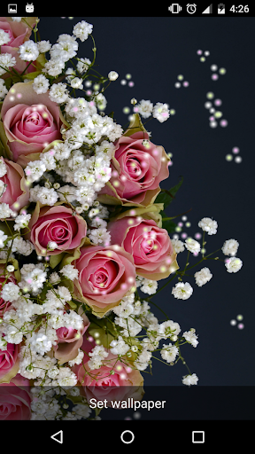 Rose Live Wallpaper - عکس برنامه موبایلی اندروید