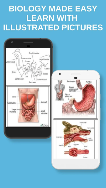 Biology Notes With Pictures - عکس برنامه موبایلی اندروید