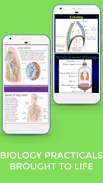 Form ۱ And ۲ Biology Notes - عکس برنامه موبایلی اندروید