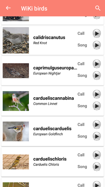 Bird Identification - Image screenshot of android app