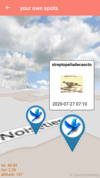 Bird Identification - عکس برنامه موبایلی اندروید