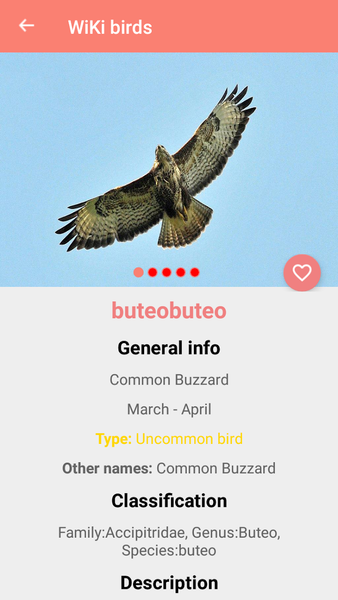 Bird Identification - عکس برنامه موبایلی اندروید