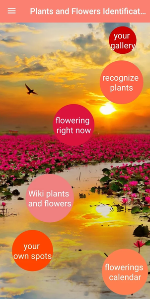 Plant & Flower Identification - Image screenshot of android app