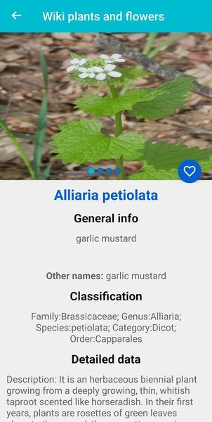 Plant & Flower Identification - عکس برنامه موبایلی اندروید