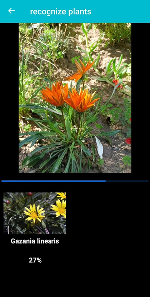 Plant & Flower Identification - Image screenshot of android app