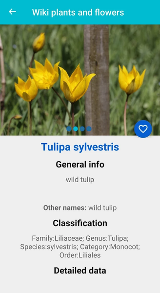 Plant & Flower Identification - عکس برنامه موبایلی اندروید