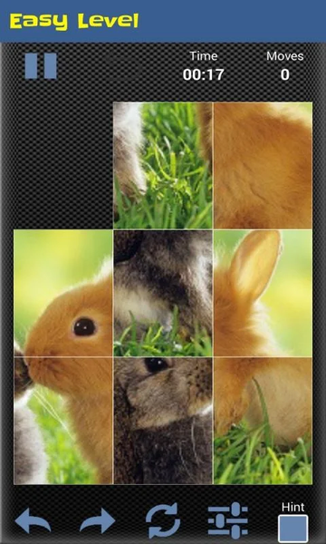 Slide Puzzle - Animal - Gameplay image of android game