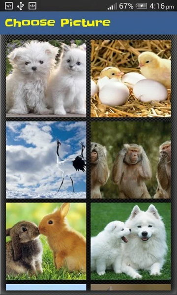 Slide Puzzle - Animal - Gameplay image of android game