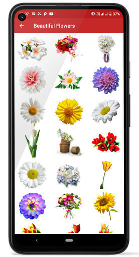 Rose Stickers - Image screenshot of android app