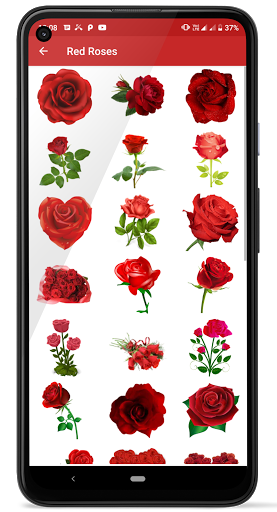 Rose Stickers - Image screenshot of android app