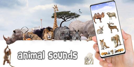 Animal Sounds - عکس برنامه موبایلی اندروید