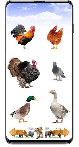 Animal Sounds - عکس برنامه موبایلی اندروید