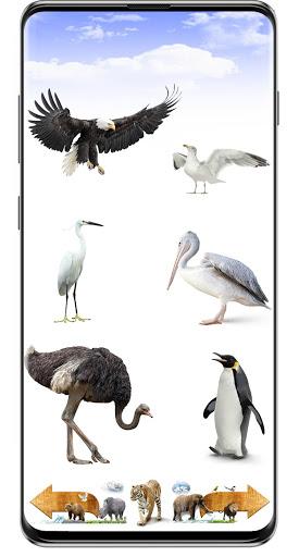 Animal Sounds - عکس برنامه موبایلی اندروید
