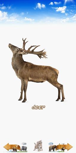 Animal Sounds - عکس برنامه موبایلی اندروید