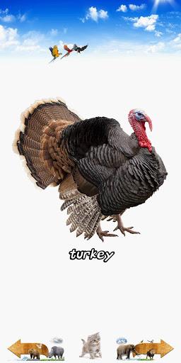 Animal Sounds - عکس برنامه موبایلی اندروید