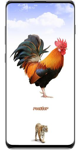 Animal Sounds - عکس برنامه موبایلی اندروید