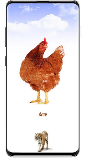 Animal Sounds - عکس برنامه موبایلی اندروید