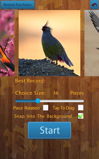 Birds Jigsaw Puzzles Game - Gameplay image of android game